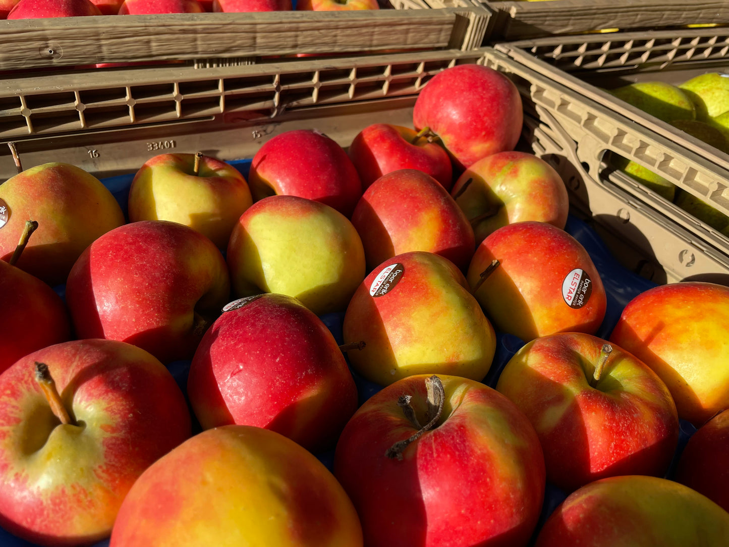 Boer Erik Elstar Appels
