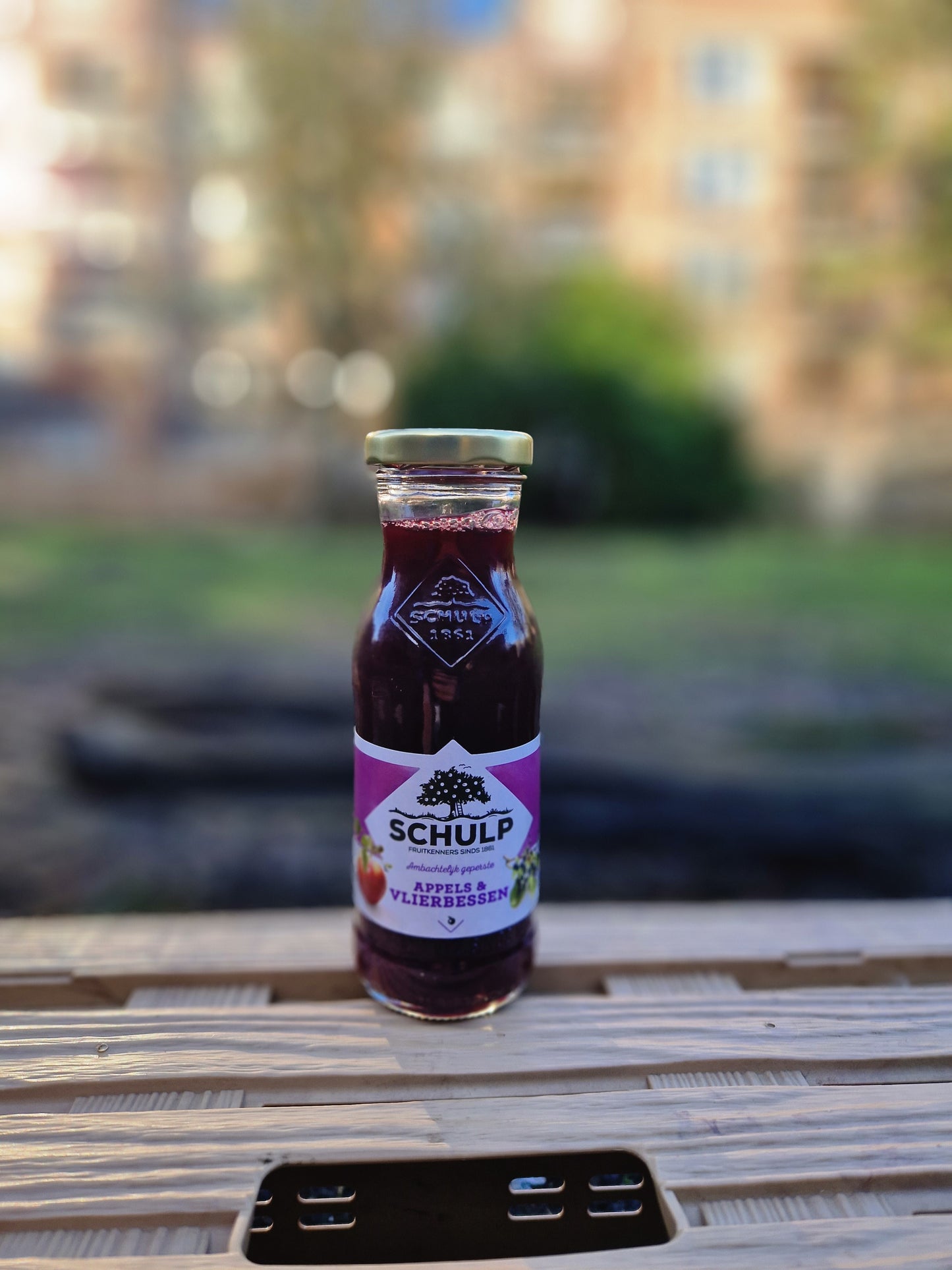 Schulp Appel/Vlierbes