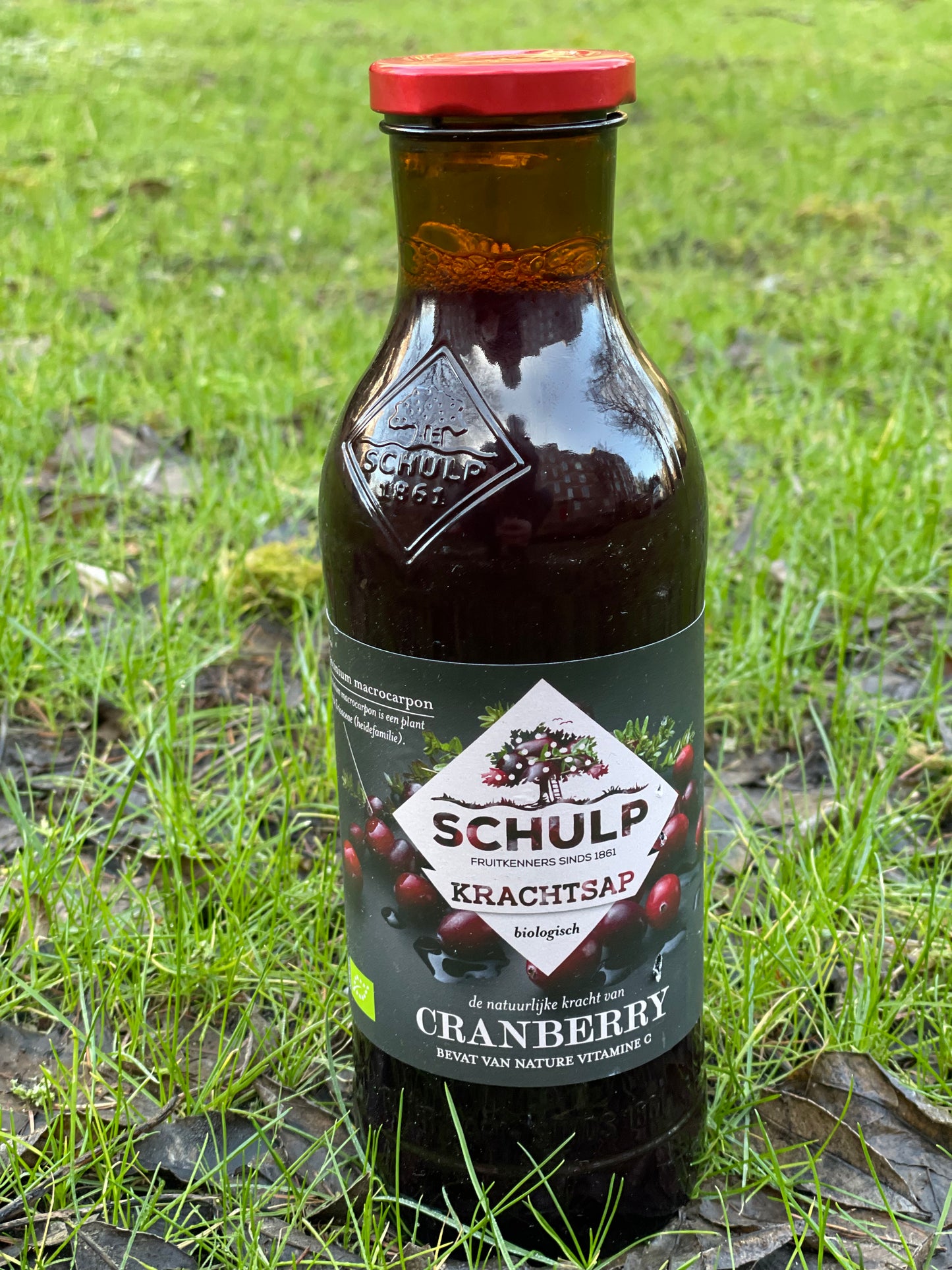 Schulp puur Cranberry