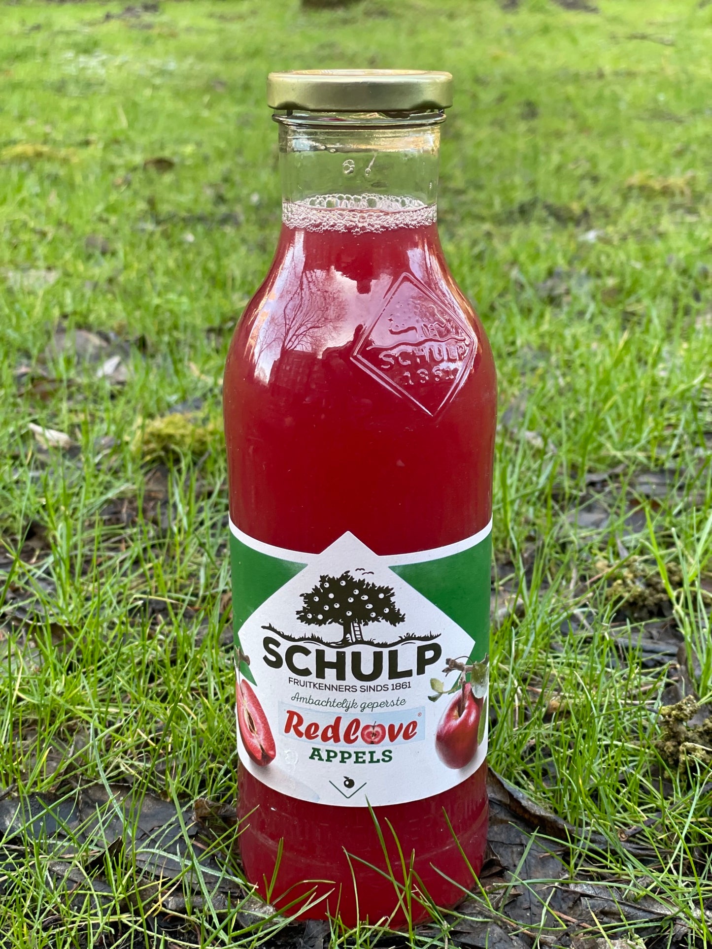 Schulp Redlove