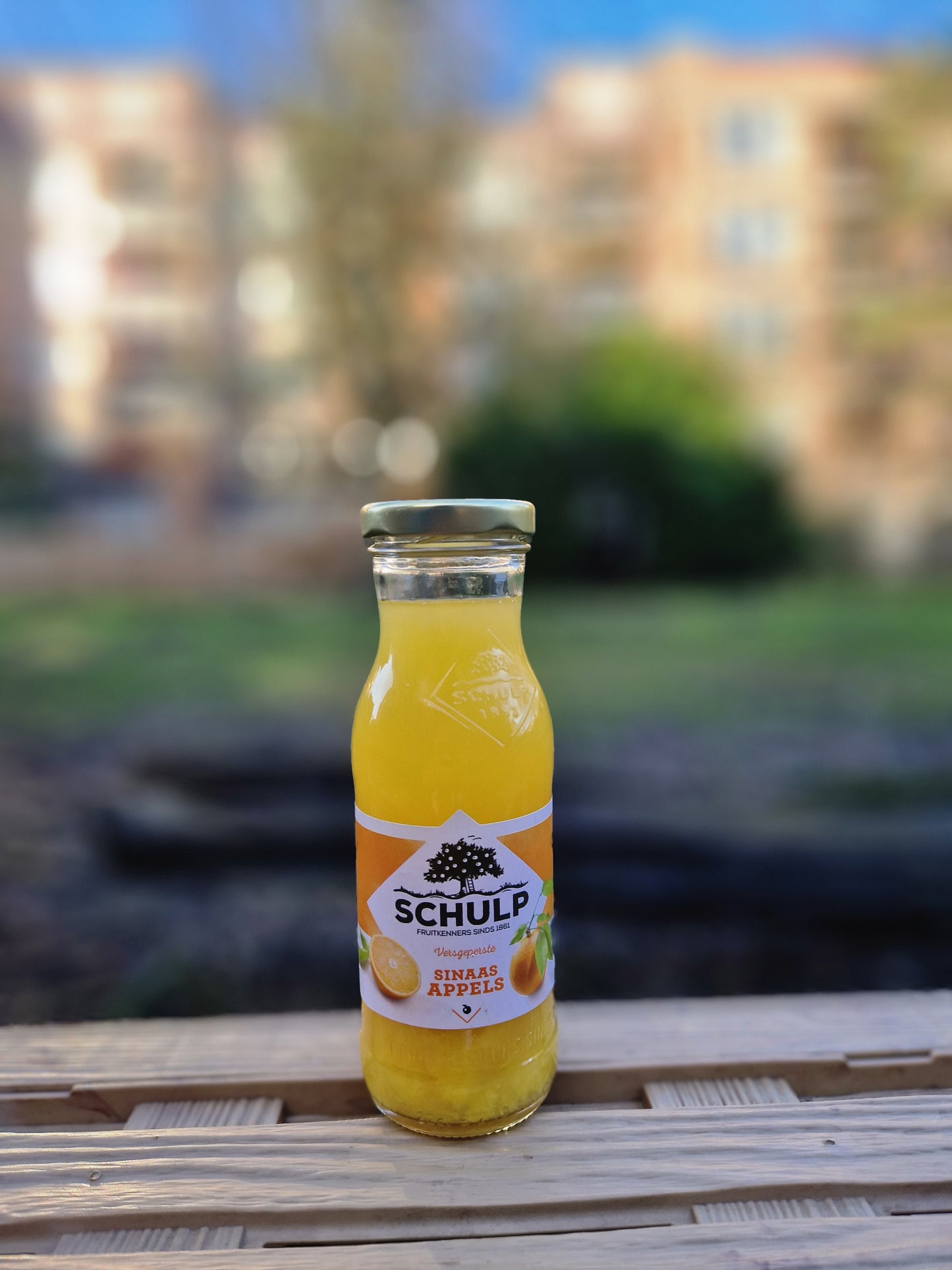 Schulp Sinaasappelsap