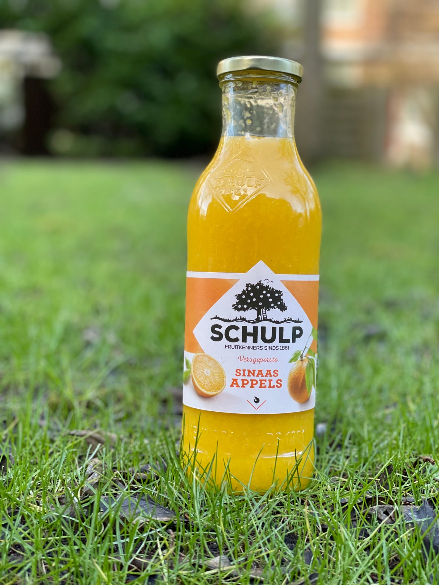 Schulp Sinaasappelsap