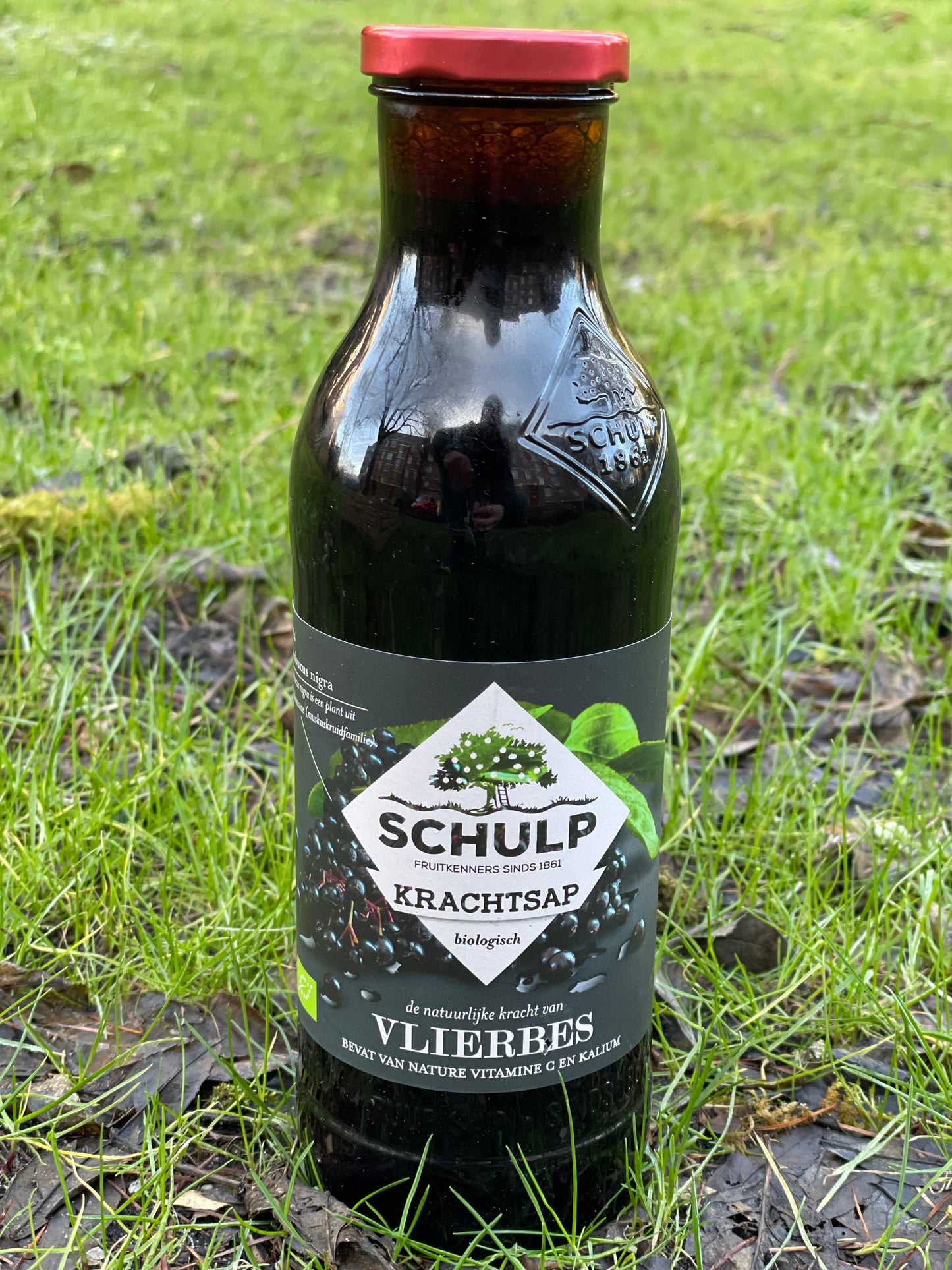 Schulp Puur Vlierbes