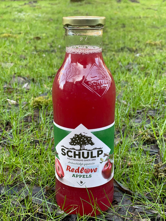 Schulp Redlove